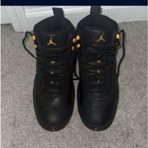Jordan retro 12